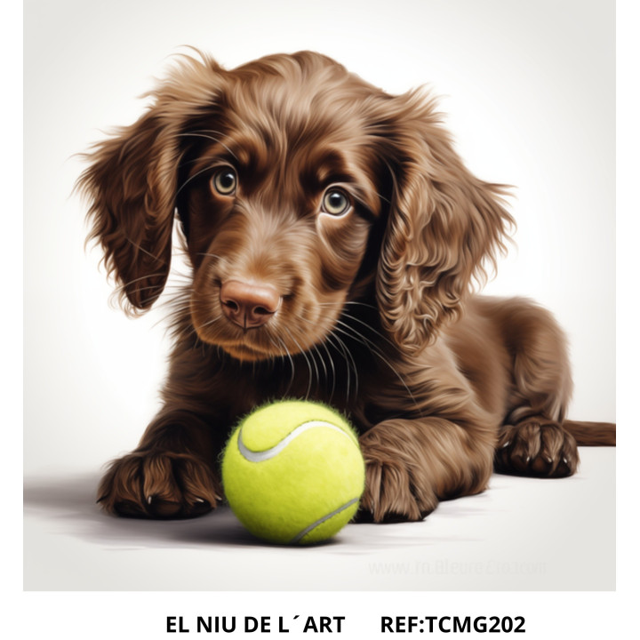 copy of 